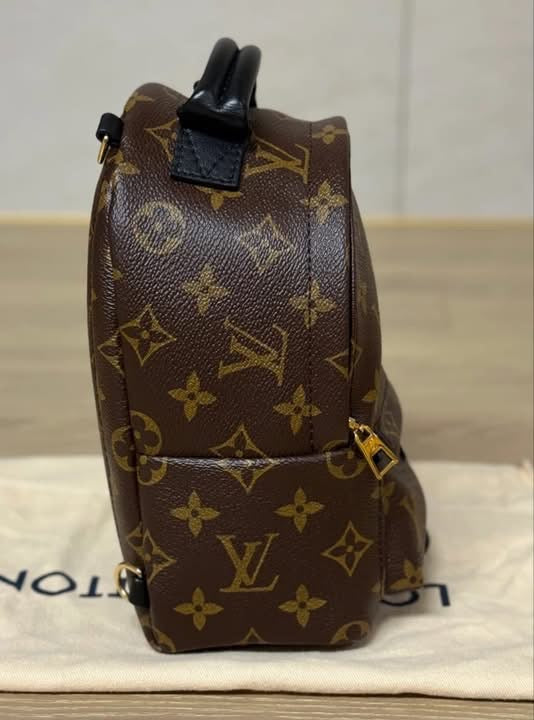 Louis Vuitton Palm Springs Backpack Mini Monogram
