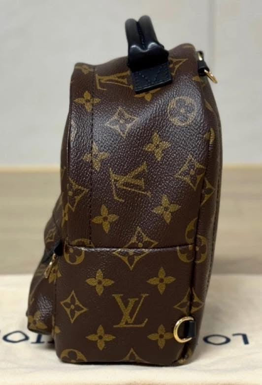 Louis Vuitton Palm Springs Backpack Mini Monogram
