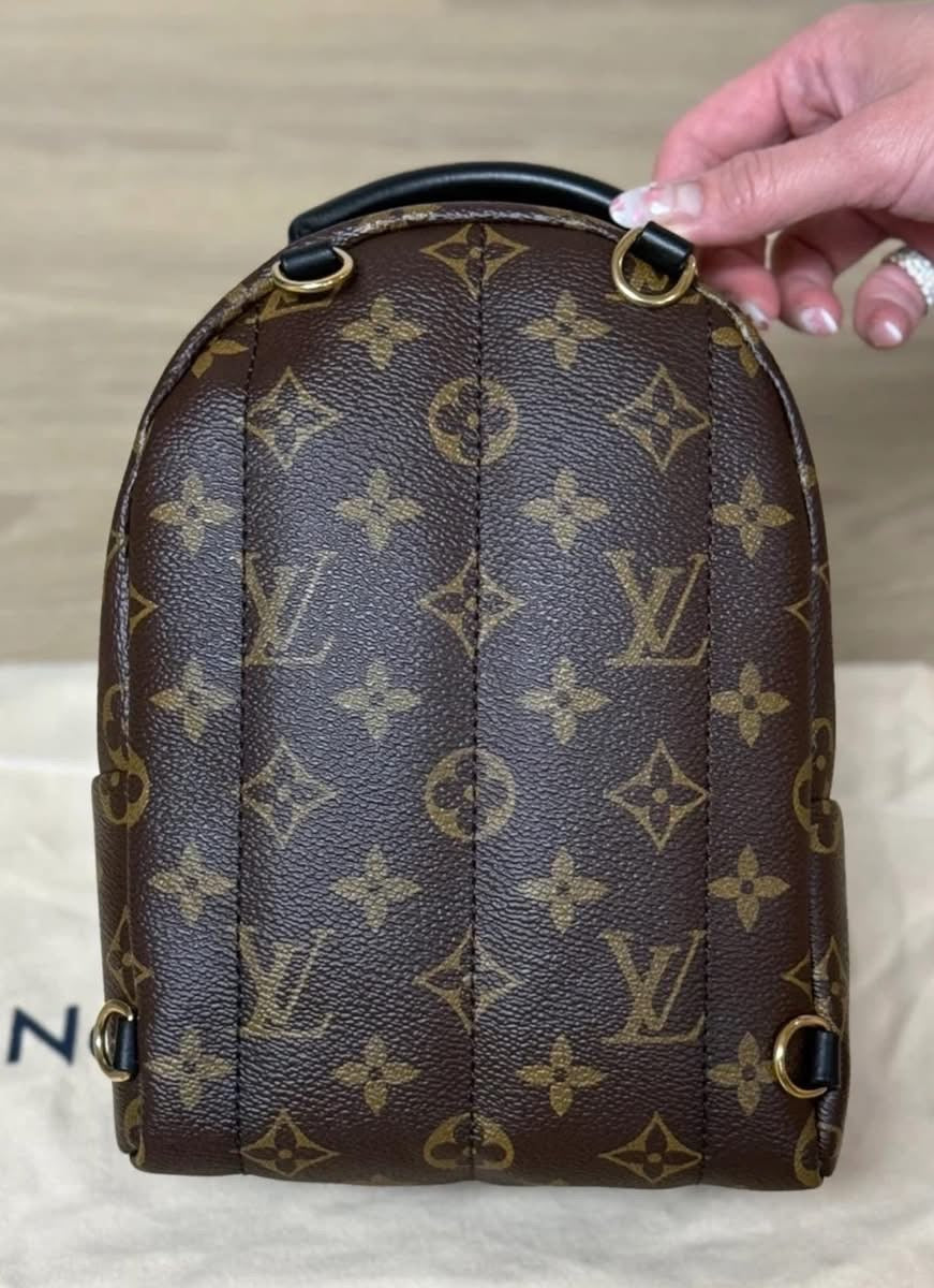 Louis Vuitton Palm Springs Backpack Mini Monogram
