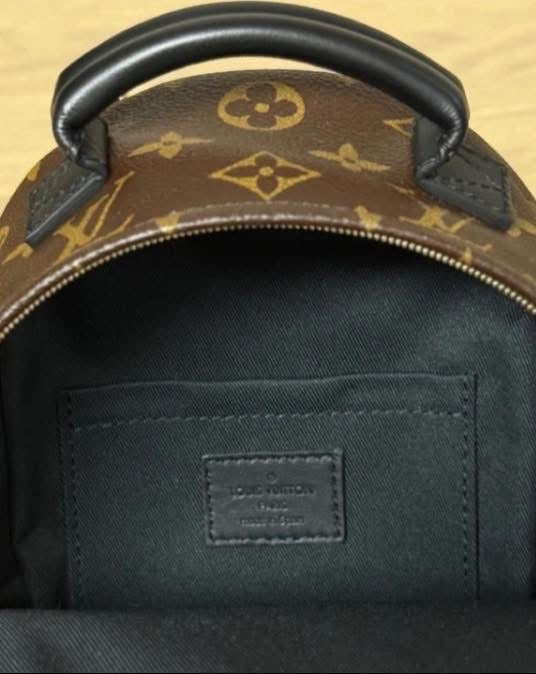 Louis Vuitton Palm Springs Backpack Mini Monogram