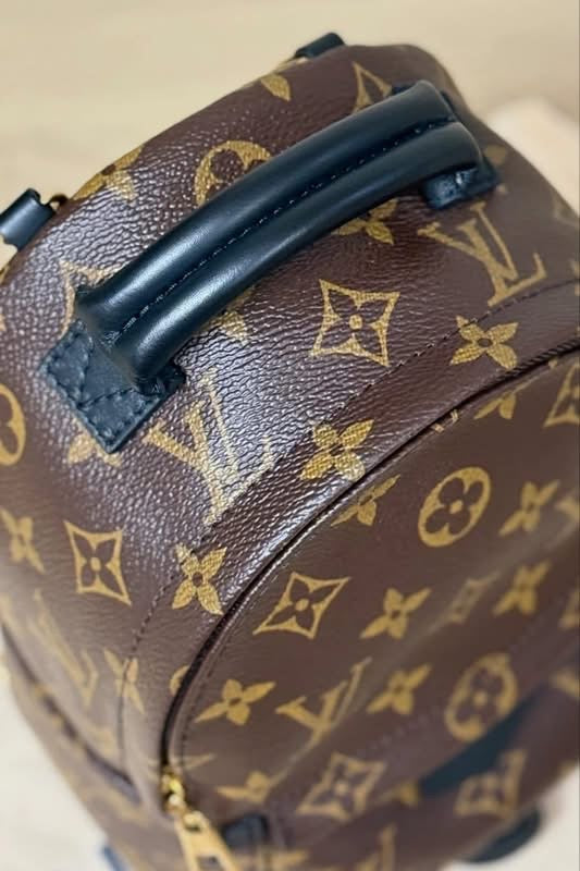 Louis Vuitton Palm Springs Backpack Mini Monogram