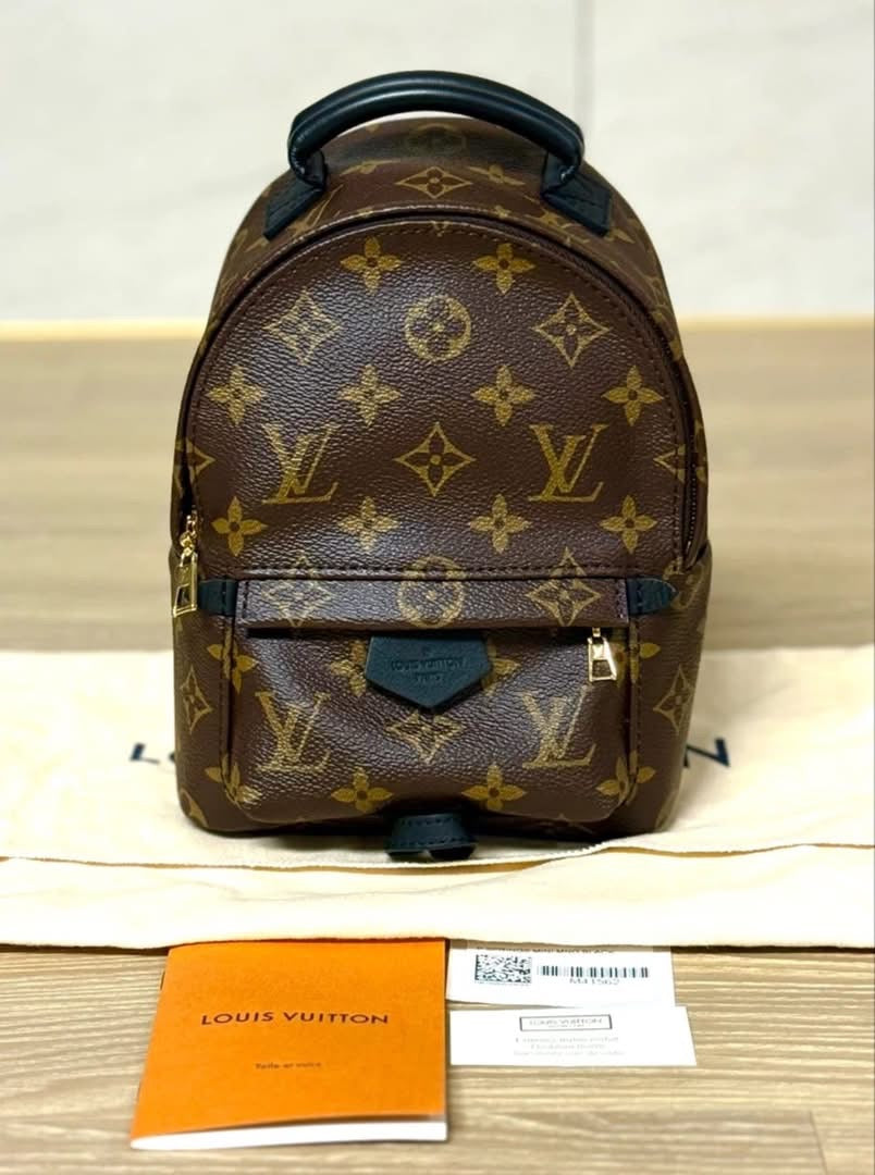 Louis Vuitton Palm Springs Backpack Mini Monogram