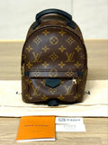 Louis Vuitton Palm Springs Backpack Mini Monogram