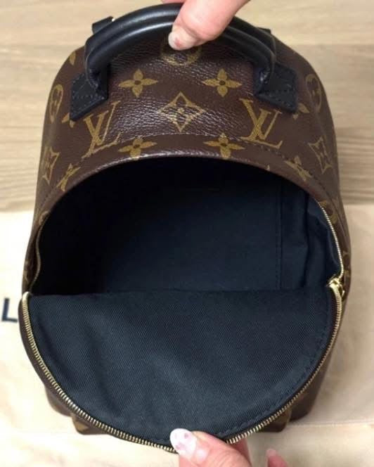 Louis Vuitton Palm Springs Backpack Mini Monogram